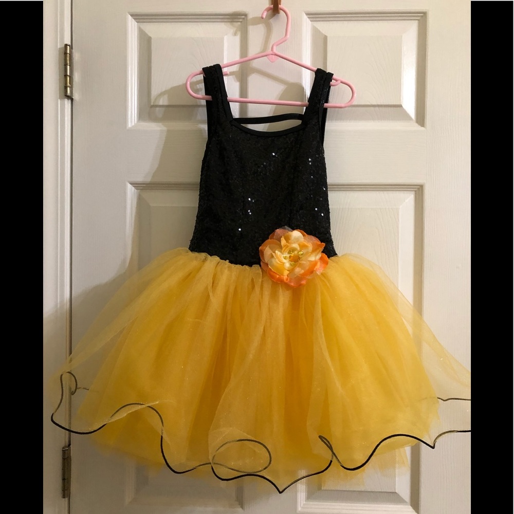 Professional dance costume for recital or dress up